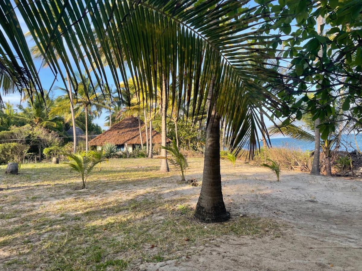 Ushongo Mabaoni Embedodo Beach House, Ushongo Beach, Pangani מראה חיצוני תמונה