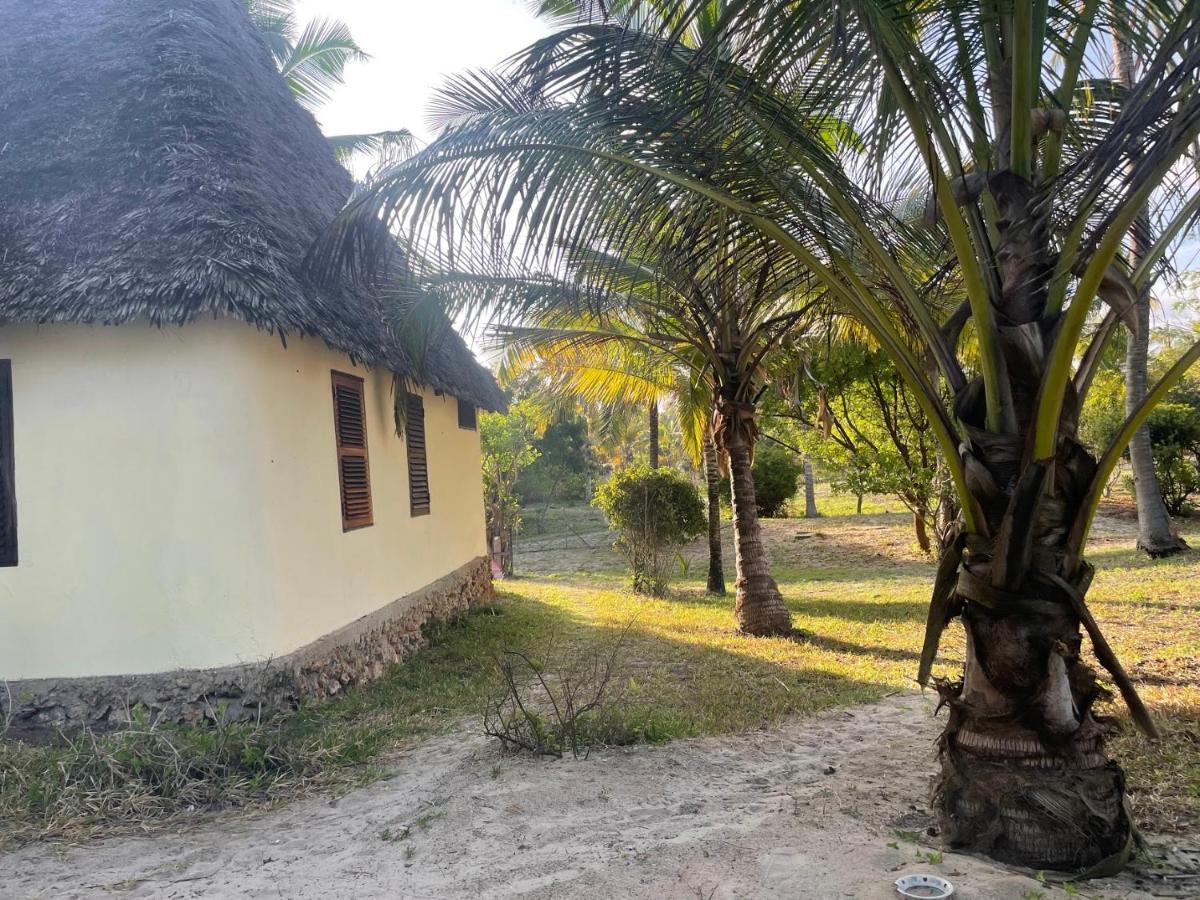 Ushongo Mabaoni Embedodo Beach House, Ushongo Beach, Pangani מראה חיצוני תמונה